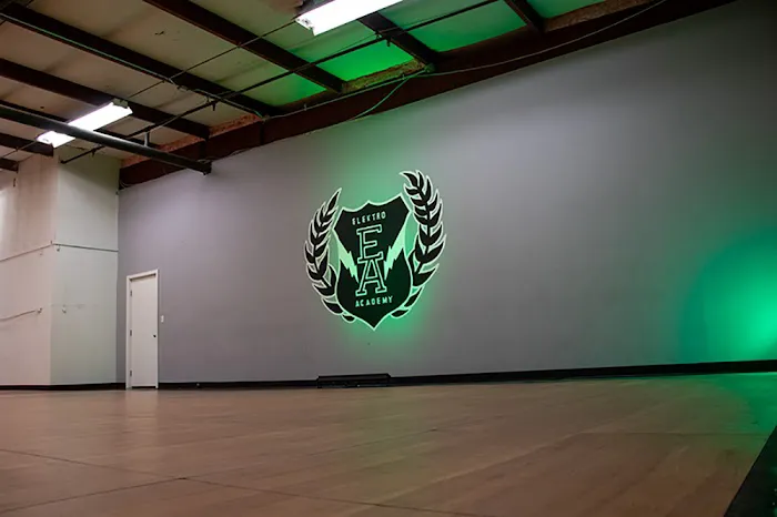 Elektro Dance Academy Picture 3