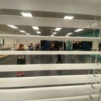 Wagner Dance Arts ico