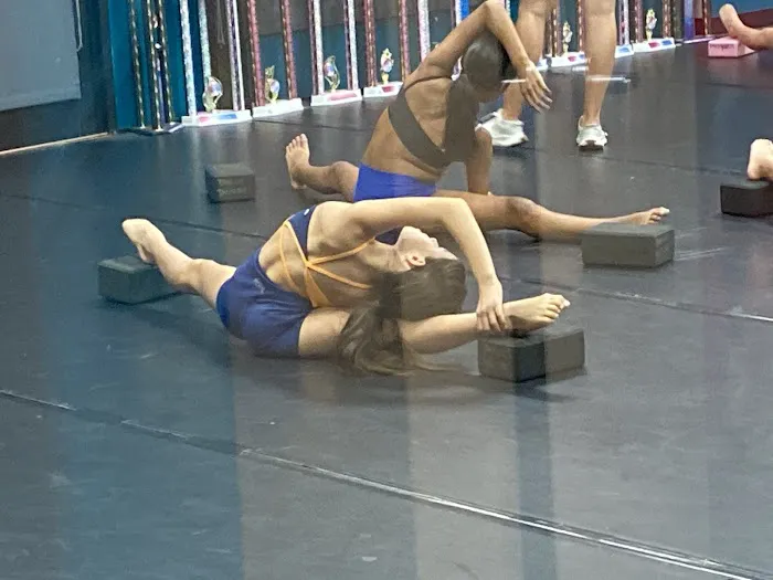 Dance Deluxe Picture 9