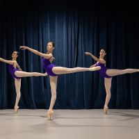 Premier Ballet Conservatory ico