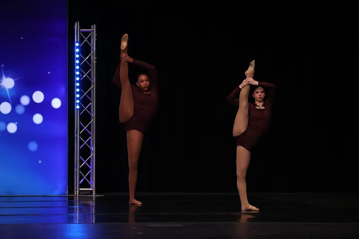 Dancers Ink LLC Picture 4