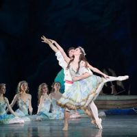 Ballet Arizona ico