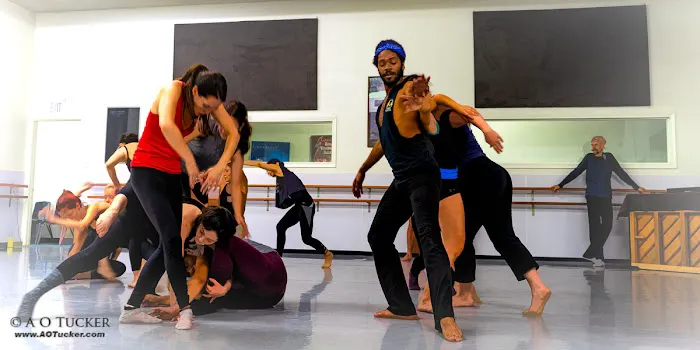 Dance Theater West Picture 2