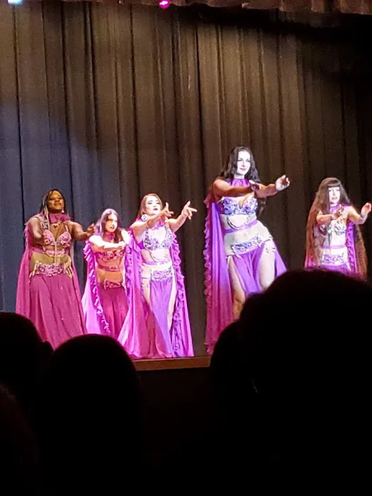 Warda Shahrazad Bellydance Picture 5