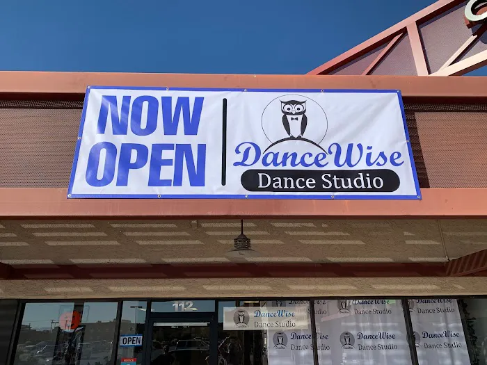DanceWise Dance Studio Picture 6