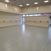 Ballet Theatre of Phoenix ico