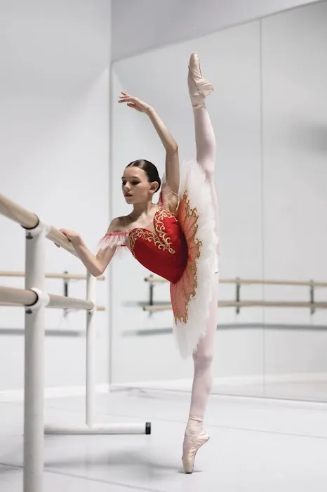 Master Ballet Academy Picture 6