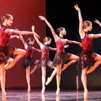 Master Ballet Academy ico