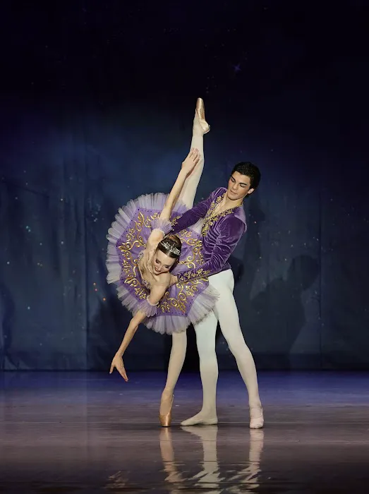 Master Ballet Academy Picture 5