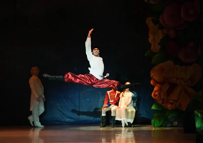 Master Ballet Academy Picture 7