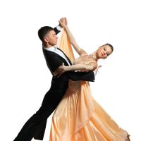 Pinnacle Dance North, LLC ico