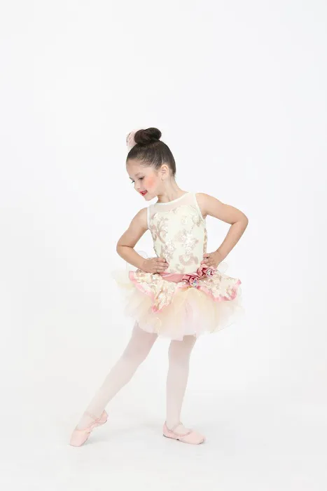 Spark Dance Academy Picture 3