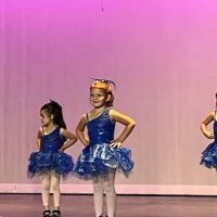 Laveen Dance and Cheer ico