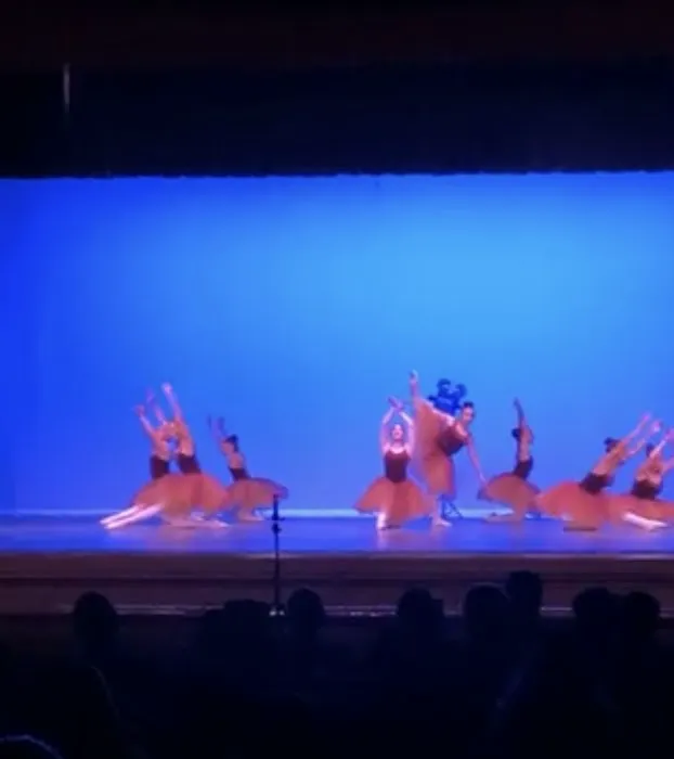 Limitless Dance Picture 3