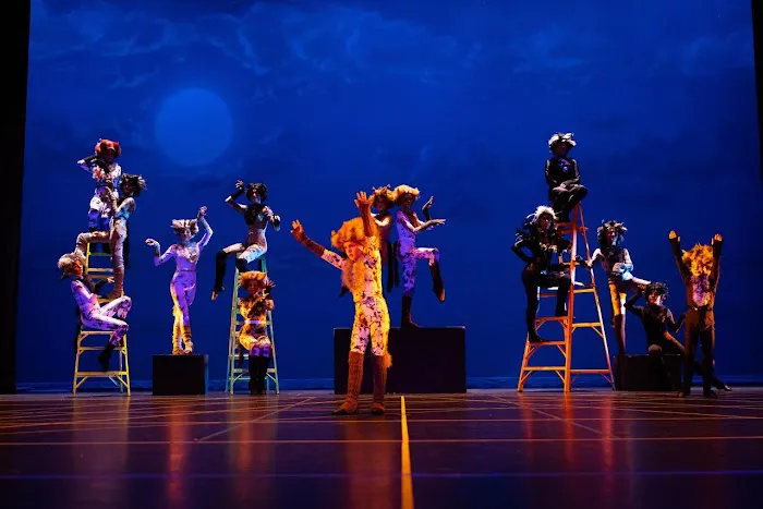 DC Dance AZ Picture 2