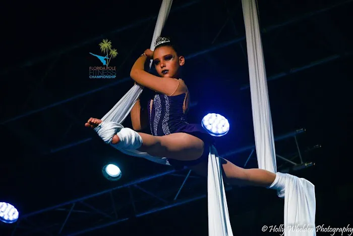 Vertical Dance Fitness USA Picture 8