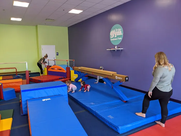 The Little Gym of Queen Creek Picture 6