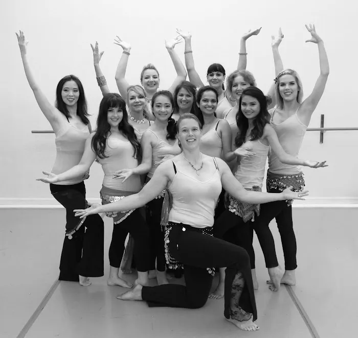 LetsBellyDance Picture 4