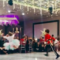 European Ballet and Piano School ico