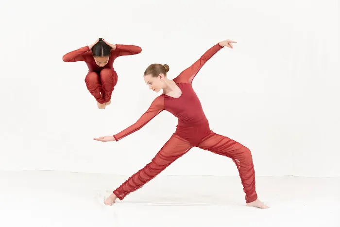 The Dance Source Picture 1