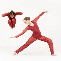 The Dance Source ico