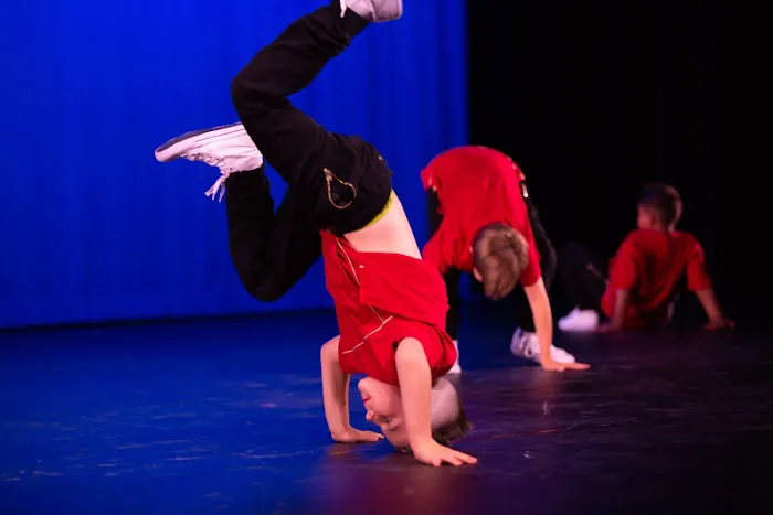 The Dance Source Picture 2
