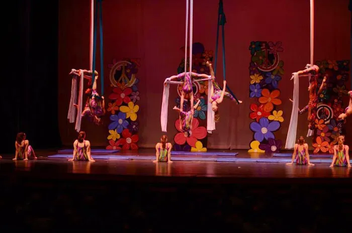 The Dance Shoppe Picture 5