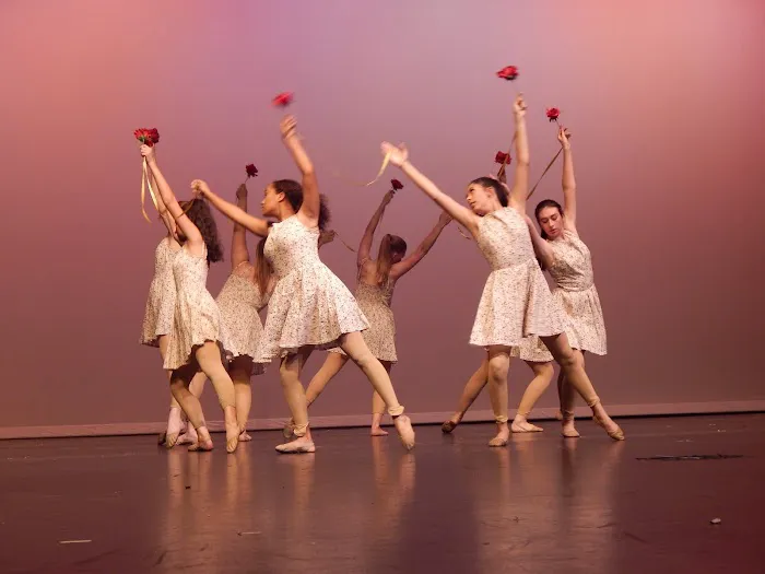 Purely Dance LLC Picture 7