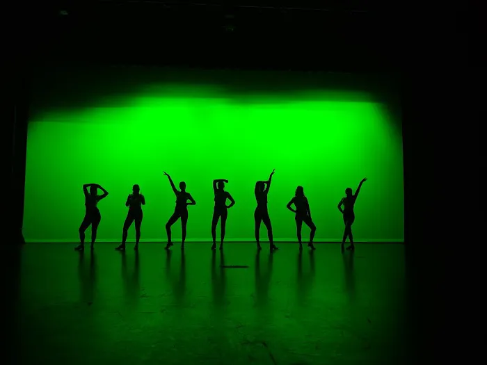 Purely Dance LLC Picture 6