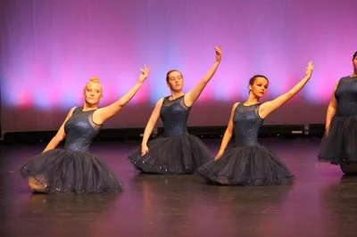 Purely Dance LLC Picture 2