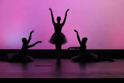 Purely Dance LLC Picture 3