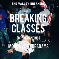 Valley Breakers ico