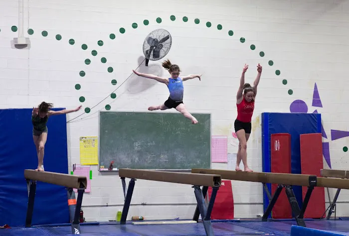Phoenix Gymnastics Academy Picture 5