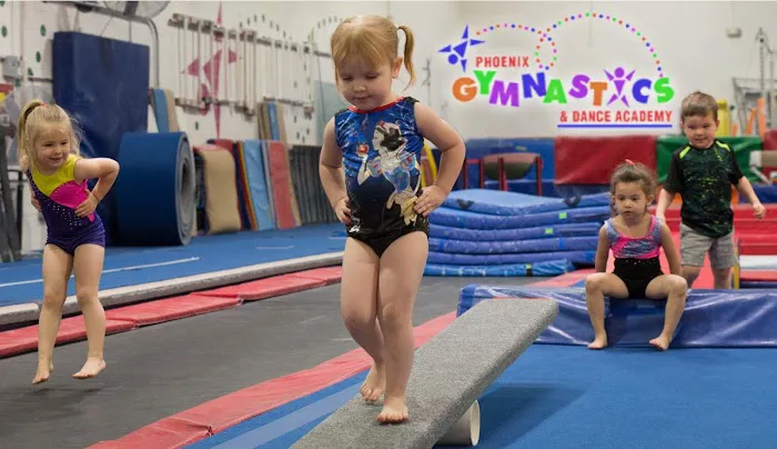 Phoenix Gymnastics Academy Picture 3