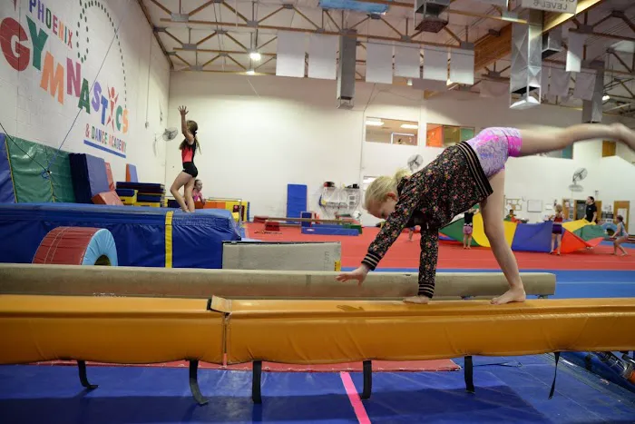 Phoenix Gymnastics Academy Picture 7