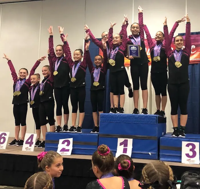 Phoenix Gymnastics Academy Picture 2