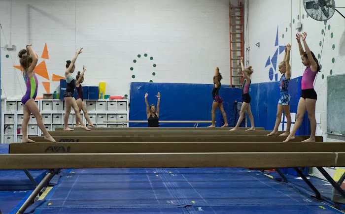 Phoenix Gymnastics Academy Picture 6