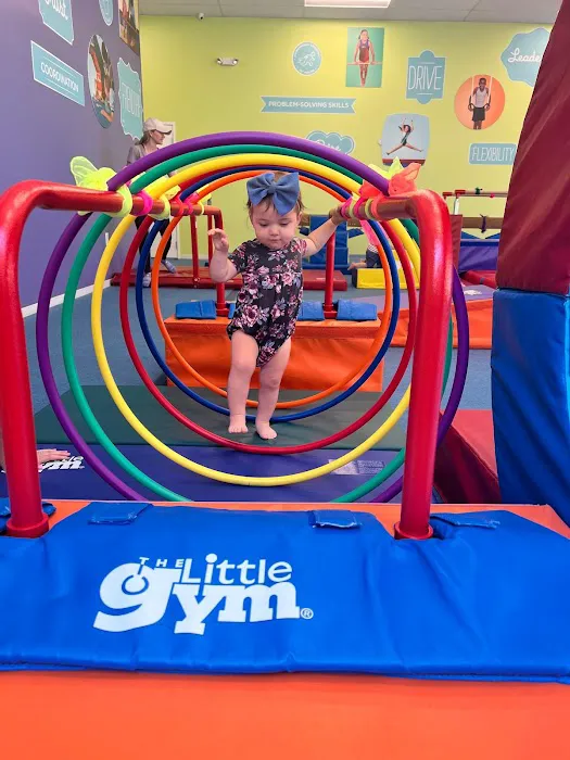 The Little Gym of Cave Creek Picture 7