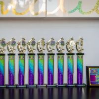 Dance Nation AZ ico