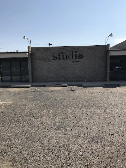 The Studio of Dance Picture 4