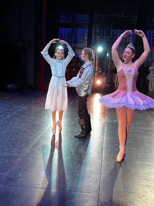 The Studio of Dance Picture 3