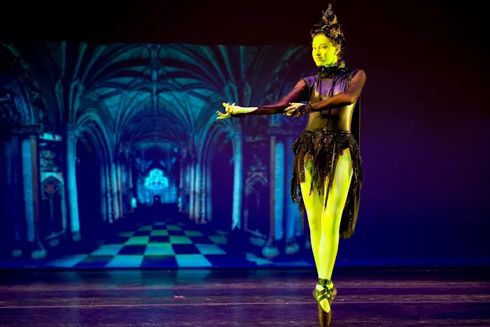 Southwest Ballet Theatre Picture 3