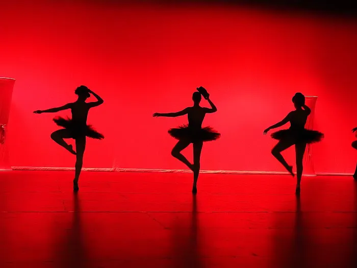 Desert Sun Performing Arts Picture 5