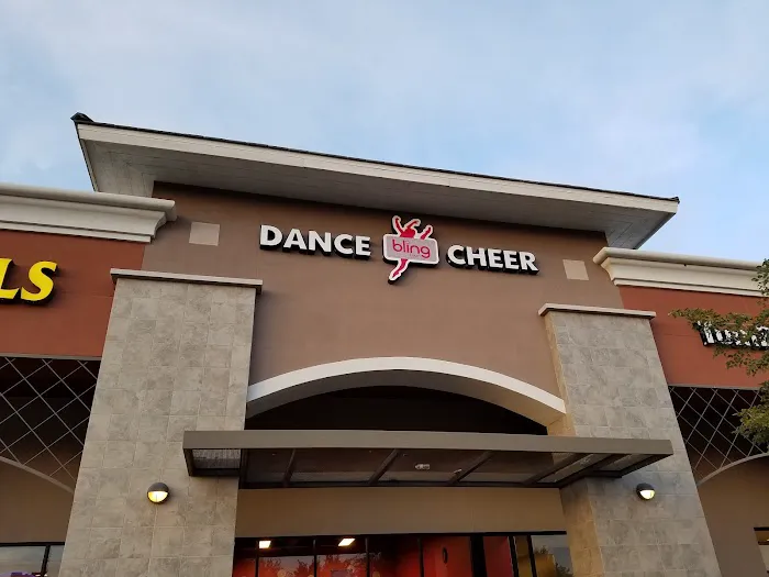 Bling Tour Dance Cheer and Tumbling Picture 1