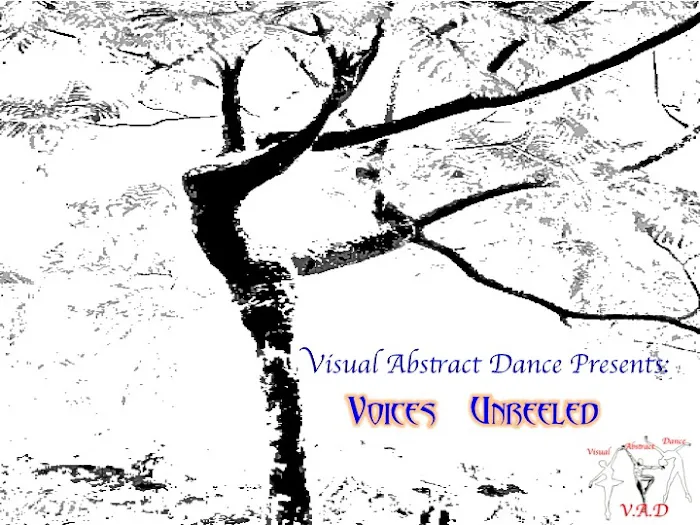 Visual Abstract Dance Academy Picture 5