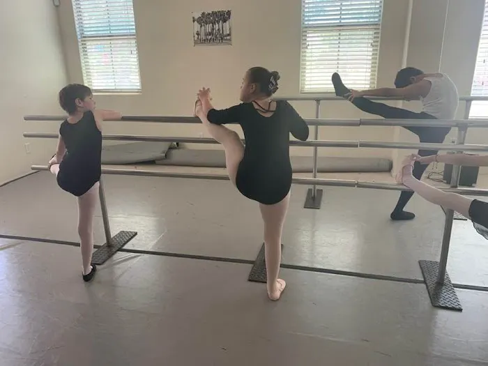 Visual Abstract Dance Academy Picture 4