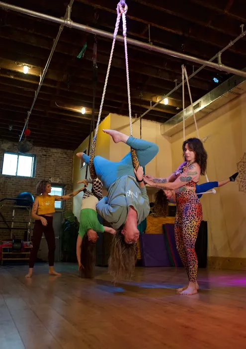 NOLA Pole & Aerials Picture 5