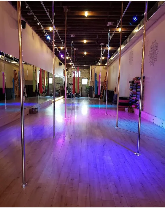 NOLA Pole & Aerials Picture 2