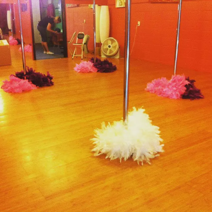 Crescent Lotus Dance Studio Picture 10