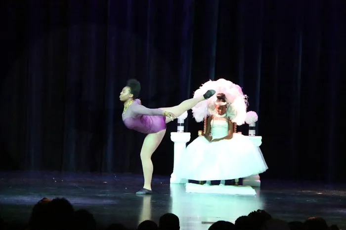 Girl Twirl LLC Picture 5